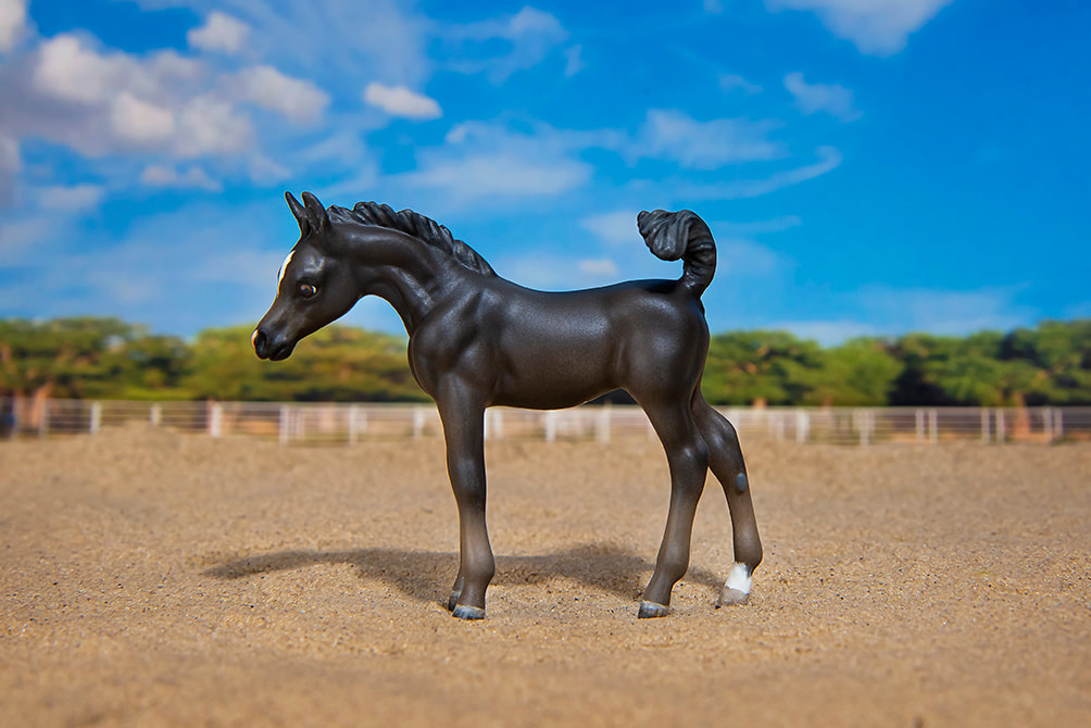 Custom-Model-Horse-Breyer Stablemate Blue Mountain Stable black Arabian horse filly from the G1 Standing Thoroughbred foal